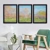 Wallity Set uramljenih slika 3SC_UN3896329, 3 Dela