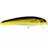 Rapture Super Dexter 110mm 32gr RCK