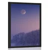 Plakat polna luna nad vasico - 30x45 white