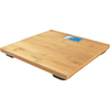 GRUNDIG Vaga PS 4110 *I