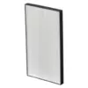 Sharp FZD40HFE AP HEPA Filter