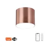 Immax NEO 07319L - LED prigušiva RONDATE plafonsko svetlo 18W/230V 11,5 cm Wi-Fi Tuya ružičasta