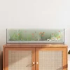 Akvarij s pohranom *Transparent*an 80 x 20 x 20 cm Stakl