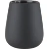 Toothbrush holder EKBY black SDP