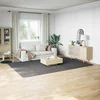 Vidaxl Kosmata preproga antracitna 240x340 cm poliester