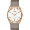 Citizen Eco-Drive AR3076-08A
