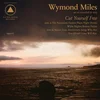 Wymond Miles - Cut Yourself Free (LP)