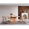 Hanah Home Trpezarijski sto i stolice Atlantis, 170x90x75 cm, 4 stolice, Smeđi
