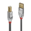 Lindy 36644 USB kabel USB 2.0 5 m USB A USB B siv