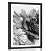 Plakat s paspartujem potonike v črnobeli varianti - 30x45 black