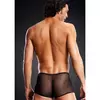 Hlačke Micro Mesh Trunk Black