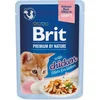 Brit Premium Hrana za mačke Piletina, 85g