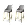 Hanah Home Set barskih stolica Enox, 2 komada, Sivo-zlatni