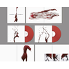Manic Street Preachers - Lifeblood (45 RPM) (Remastered) (Anniversary Edition) (Red Blood Coloured) (2 LP)