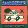 Pardoner - Came Down Different (LP)