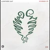 Fucked Up - Another Day (Coloured) (LP)