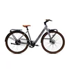 CAPRIOLO Belt Drive 28 E-bike sivo-bež (925840)