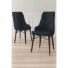 Hanah Home Set stolica Neta, 46x95x42 cm, 2 komada, Antracit-braon