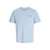 JACK & JONES Majica JORSummer modra / svetlo modra / apno / zelena