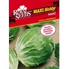 SEME ROYAL SEEDS 63 Radič zimski Bianca Invernale