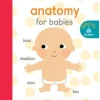 Anatomy for Babies
