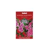 FLORIS cveće Kineski karanfil 0.3 g