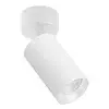 Plafonska lampa AFS121-1C WH