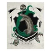 Harry Potter Umjetnička Štampana Slika: Slytherin