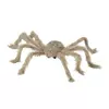 BELA TARANTULA