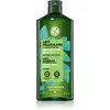 Yves Rocher Šampon protiv peruti, 300ml