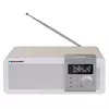 Blaupunkt PP14BT portabl audio