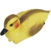 Oase Plutajuća figura patka 36863, Žuti