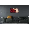 tulup.si Slika na steklu Rose ženska usta 125x50 cm 4 obešalnika