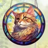 Hvatač sunca - Cat / Typ2 / S KP35670