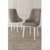 Hanah Home Set stolica Trex, 46x95x42 cm, 2 komada, Belo-smeđe