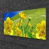tulup.si Steklena slika Rainbow travnik flowers narava 100x50 cm 4 obešalnika