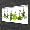 tulup.si Slika na akrilnem steklu Listi narava zelišča 100x50 cm 2 obešalnika