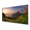 tulup.si Slika na akrilnem steklu Mount forest narava 100x50 cm 2 obešalnika