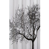 Zavesa za prho, 180 x 200 cm, PE, črna/bela, drevo - več barv - 2000.00 - 24 - Blago - Aqualine - 180x200 cm