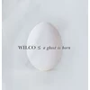 Wilco - A Ghost Is Born (2 CD)