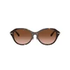 Tiffany Naočare za sunce TF 4210D 80153B