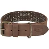 Trixie ovratnica za pse Rivet usnjena L 47-54 cm/40 mm rjava