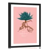 Plakat s paspartujem z napisom Aloe Barbadensis Miller - 60x90 no frame