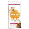 IAMS hrana za pse Dog Senior Large Chicken, 12 kg
