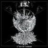 Ende - Laube Des Anathemes (Limited Edition) (White Coloured) (LP)
