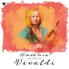 posneti mediji VARIOUS ARTISTS - LP/BEST OF VIVALDI, (21159172)