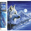 Norimpex - Puzzle Diamond Painting Noční lovci 30x40cm - 1 - 39 kosov
