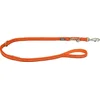 Red Dingo Preklopni povodec Hypno oranžna 25 mm