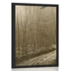 Plakat sepia steza v gozd - 20x30 no frame