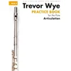 WYE:PRACTICE BOOK ARTICULATION 3
